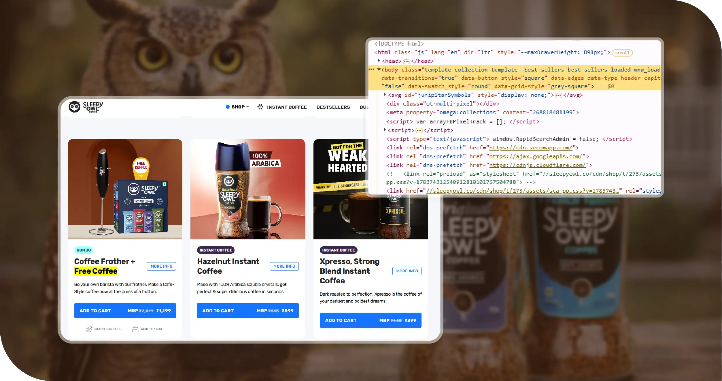 Sleepy Owl Coffee Key Challenges